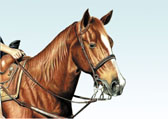 Western, Equine Art - Barrel Horse